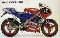 Derbi Replica