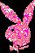 PlayBoy