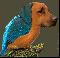 Kingfisherbirdog