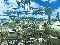 Star Ocean 3