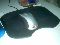 Best Mouse EveR
