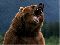 da GrizZly