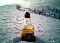 Miller Bier