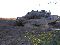 Leopard 2 In Action
