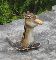 Der wahre Skater ^^