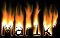 Mar1k klein