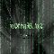 fallouT