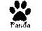 panda -.-