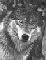 Wulf^