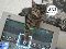 pG-cat