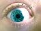 Können diese Augen lügen?
