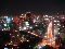 view from tokyotower