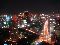 view from tokyotower