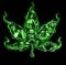 WEED
